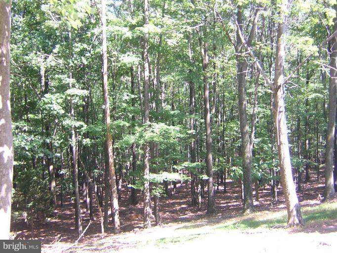 494 Cayuga Trail - Photo 1