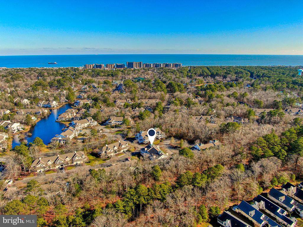 33486 Canal Court - Photo 1