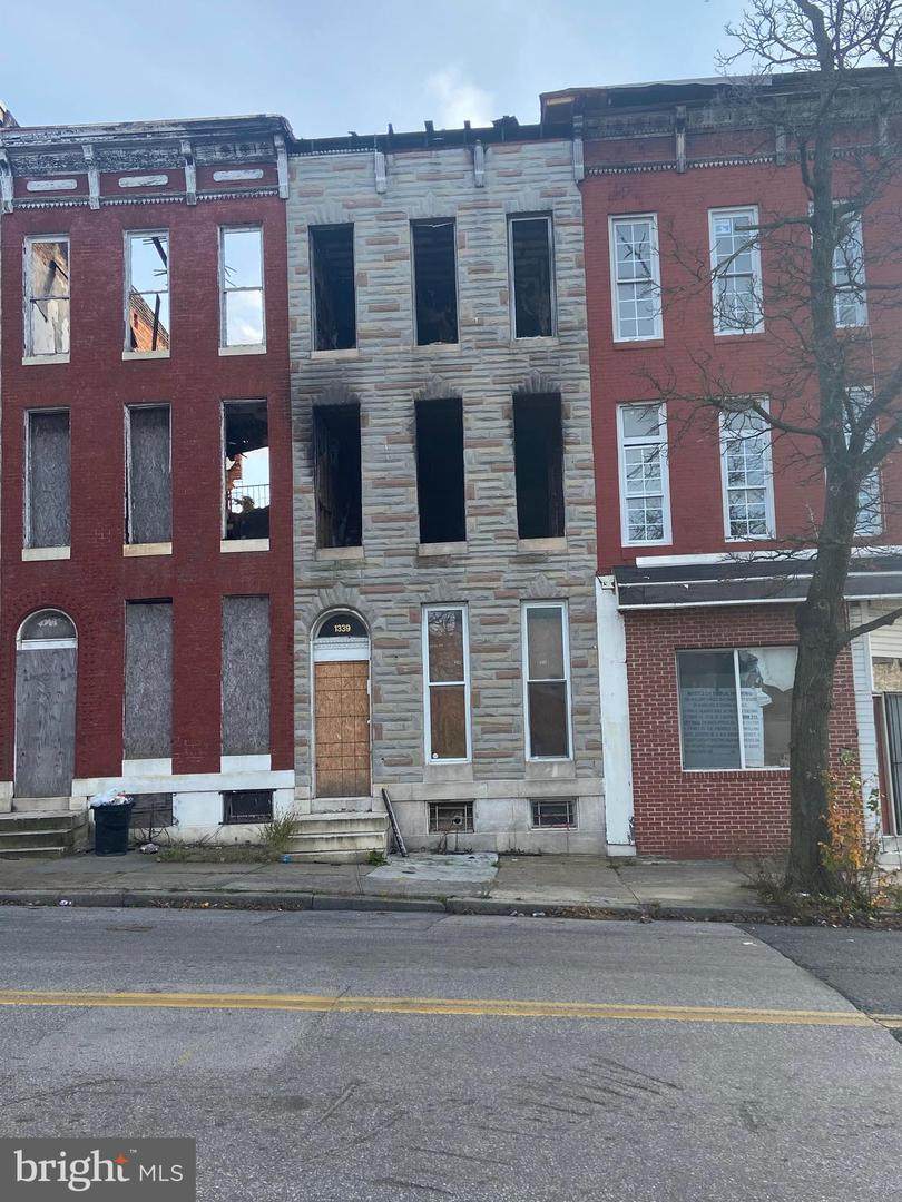 1339 Lafayette Avenue - Photo 1