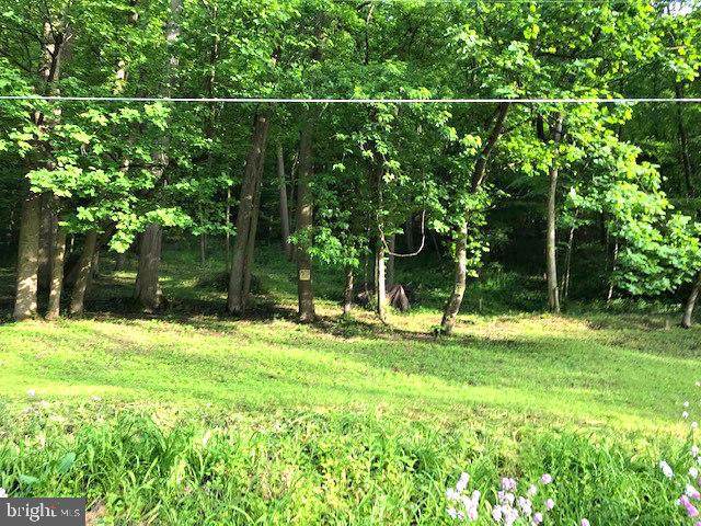 0 Route 333 - Photo 1