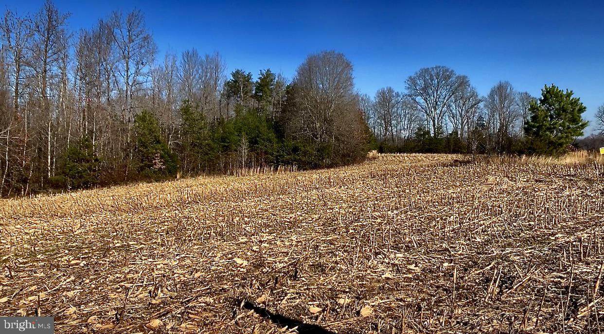 Lot 7 Bella Woods - Photo 1