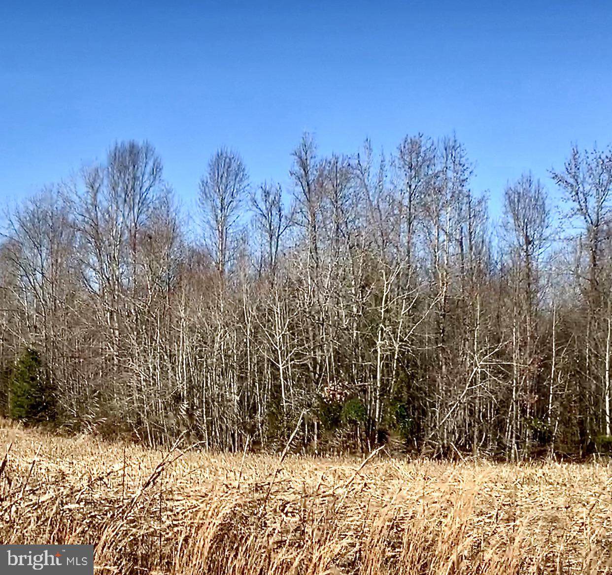 Lot 17 Bella Woods - Photo 1