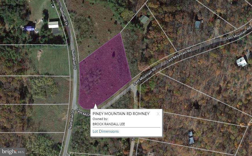 Piney Mountain Road - Photo 1