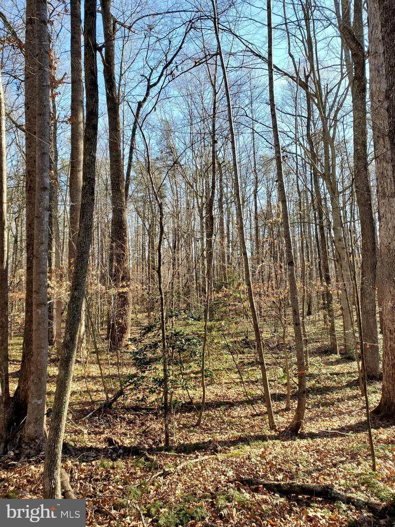 Apple Grove Road - Photo 1