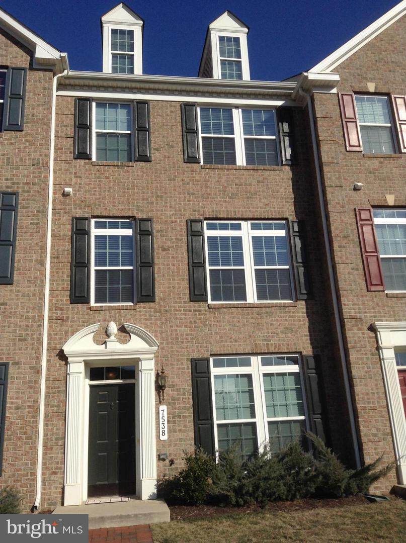 7538 Honey Locust Lane - Photo 1