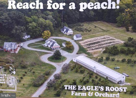 11 Peach Place - Photo 1