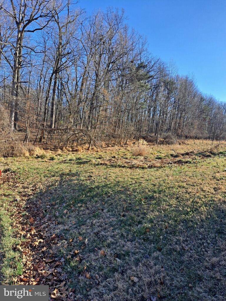 Forest Hill Drive - Photo 1