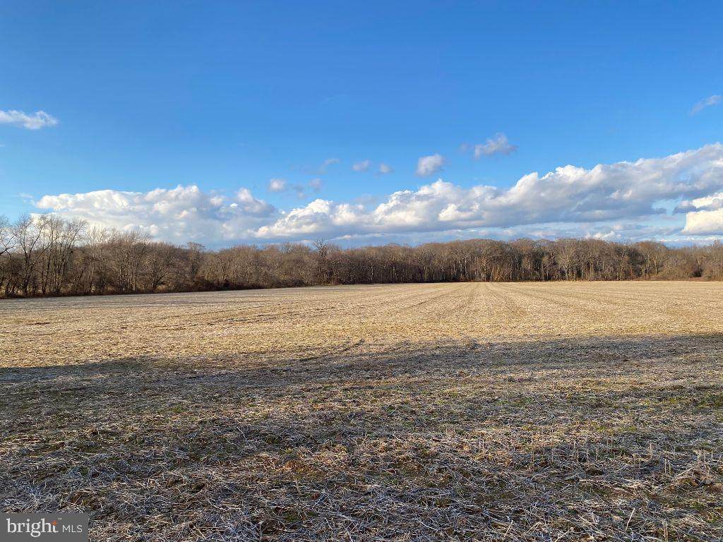 0 Clarksville Road - Photo 1