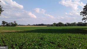 Block 53 Lot 1.02 Rt 45 Salem Woodstown Rd, Mannington Twp. - Photo 1