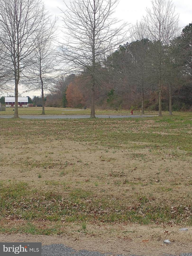202 Manning Lane - Photo 1