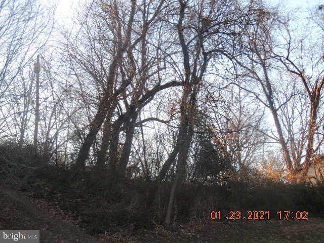 11806 Daisy Avenue - Photo 1
