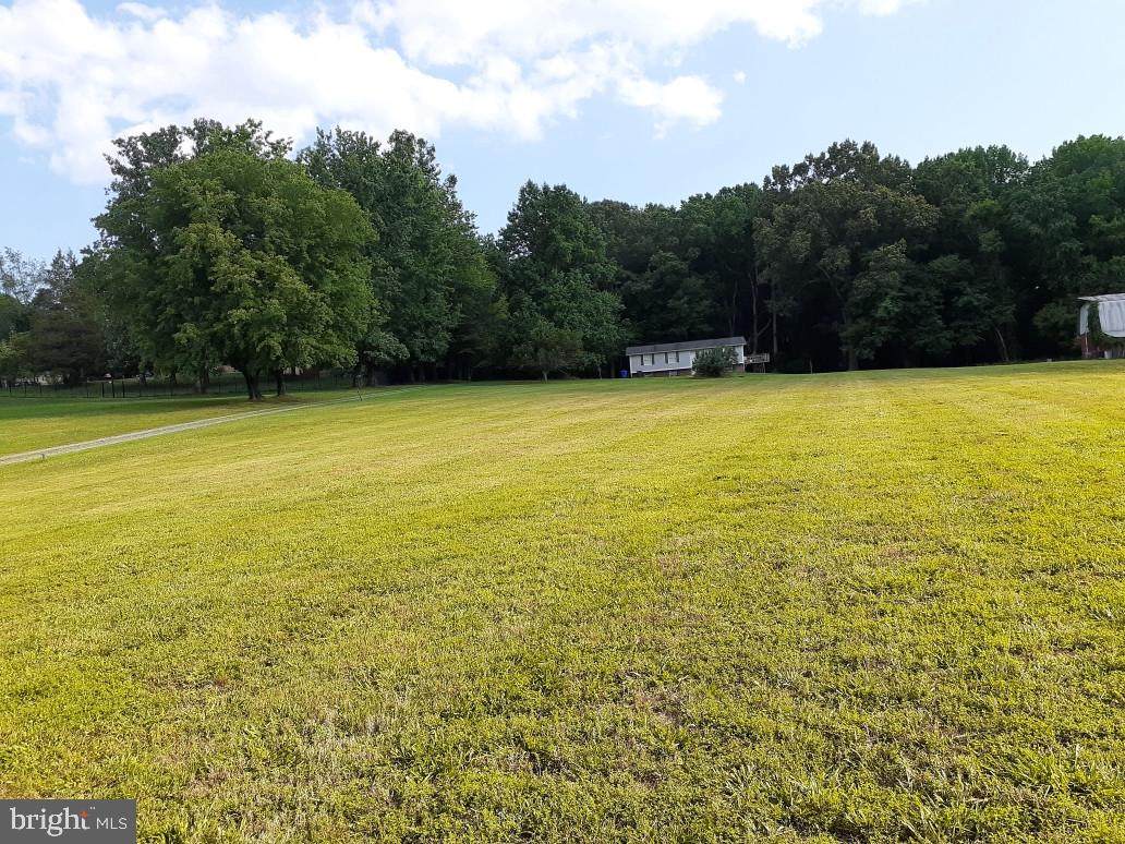 2235 Thumper Place - Photo 1