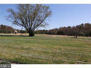 3187 Vine Road - Photo 1