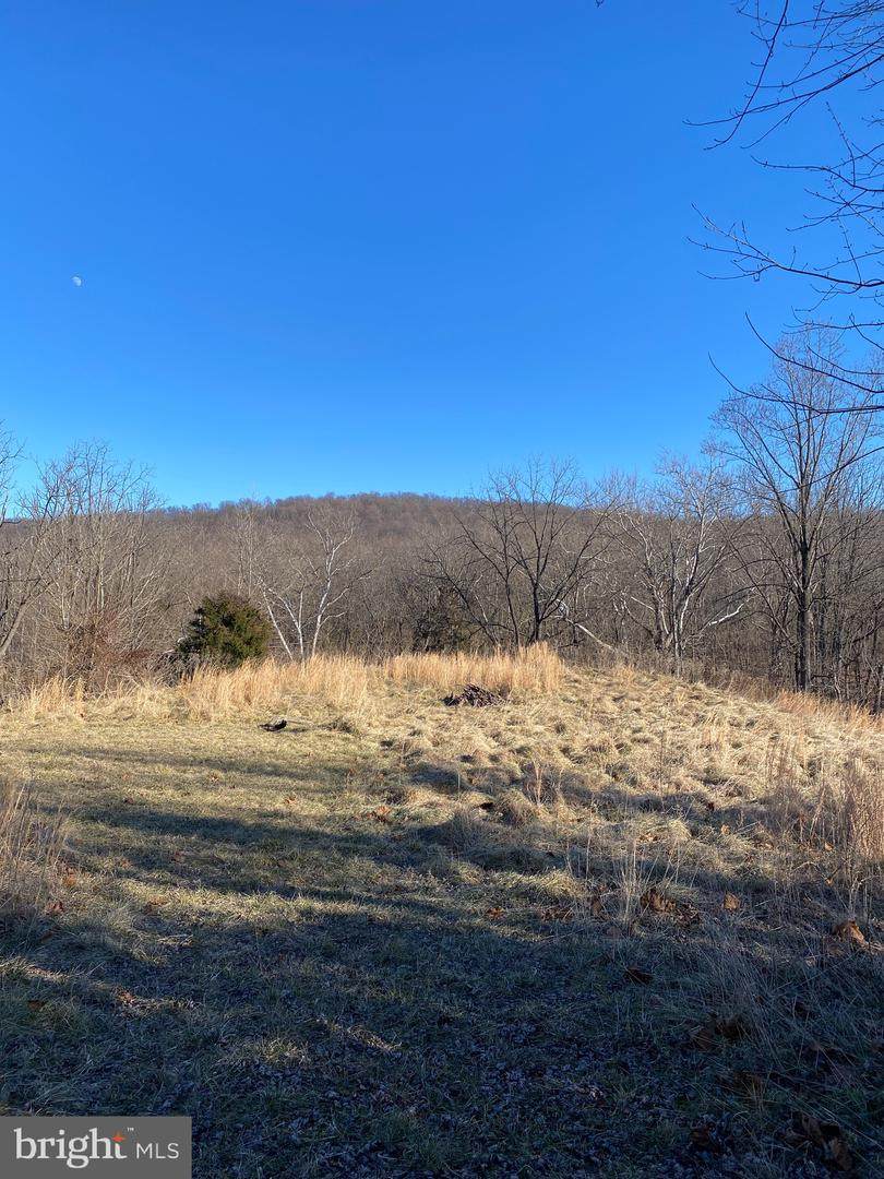 Lot 29 Eagle Landing - Photo 1