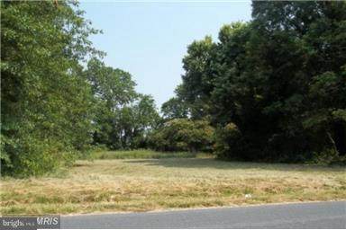 0 Old Chapel Road - Photo 1