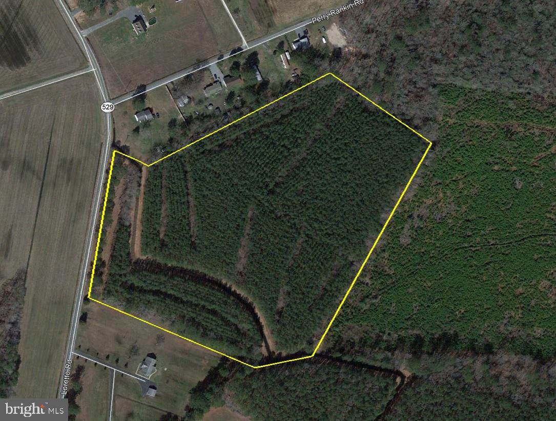 13217 Loretto Road - Photo 1
