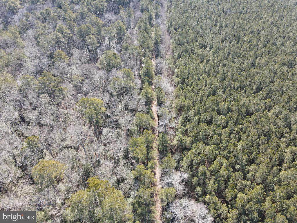 0 Nanticoke Road - Photo 1