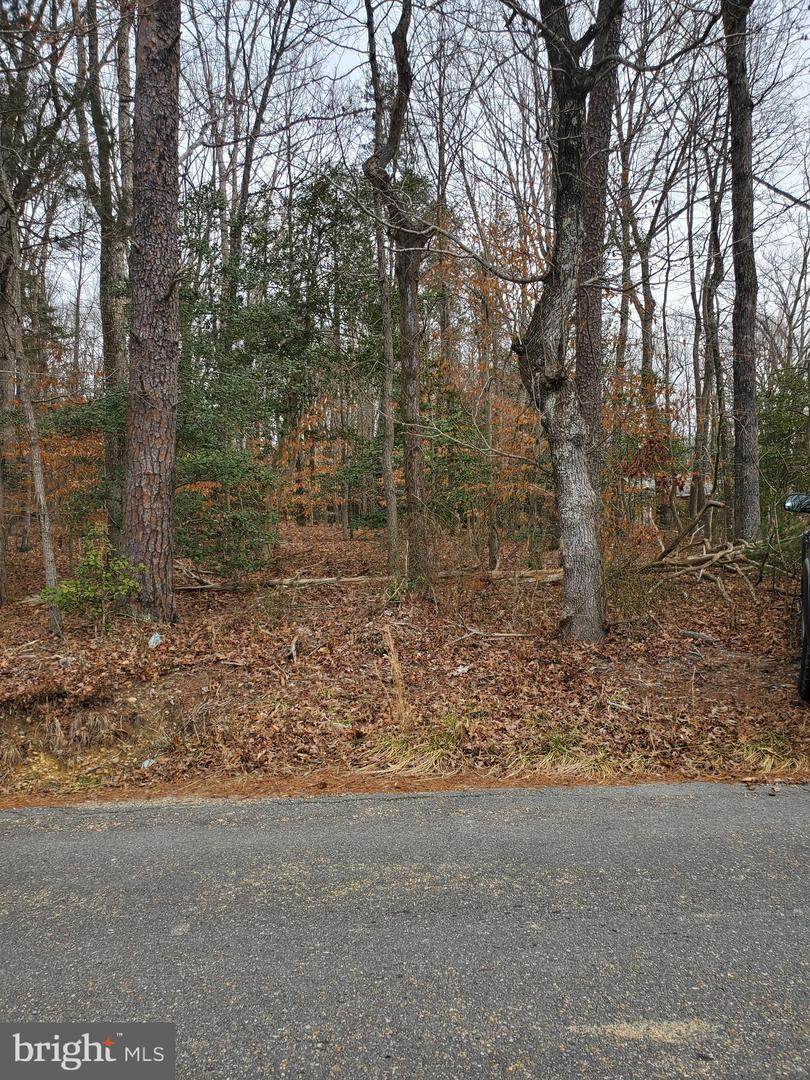 0 Mccarty Rd - Photo 1