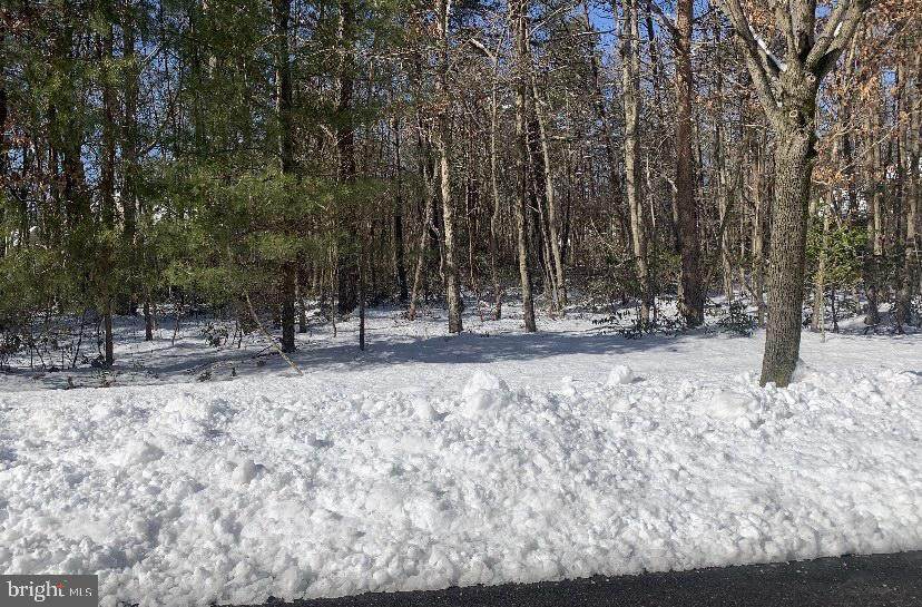 17 Fairway Drive - Photo 1