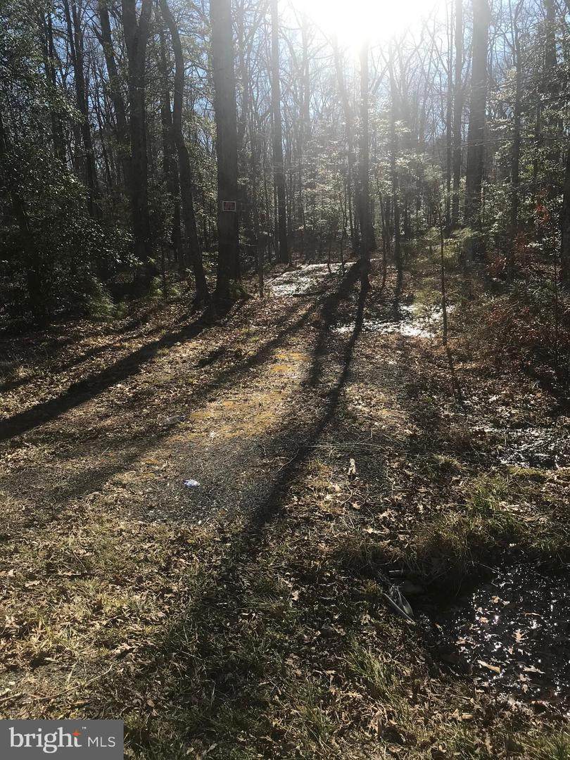 21985 Colton Point - Photo 1