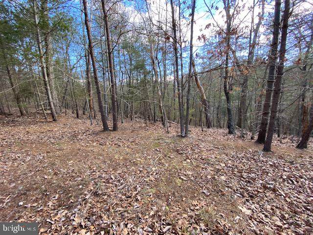 Lot 18 Slate Rock Pass Road - Photo 1