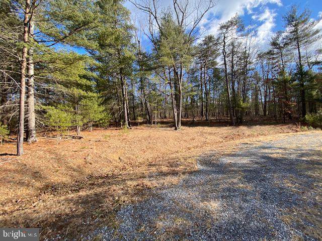 Lot 19 Slate Rock Pass Road - Photo 1