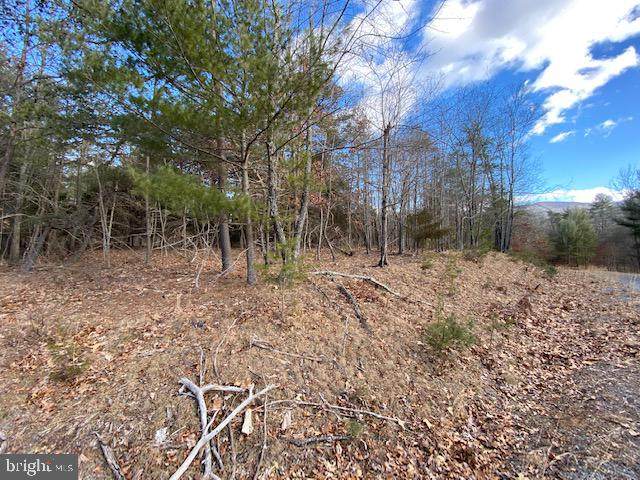 Lot 20 Slate Rock Pass Road - Photo 1