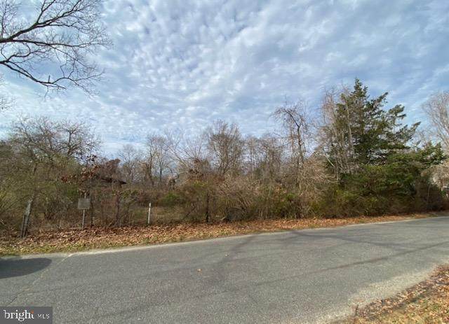 291 Broadlane Road - Photo 1