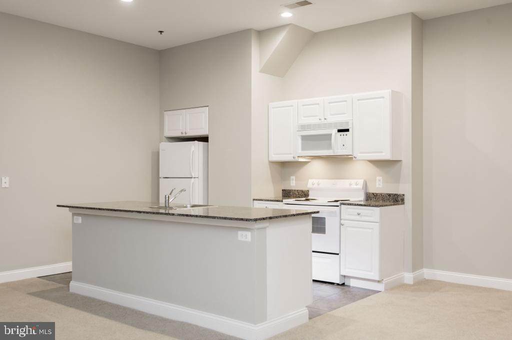 1001-13 Chestnut Street - Photo 1