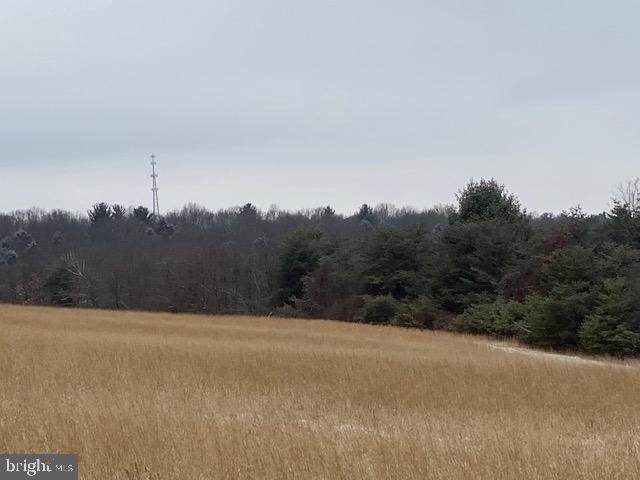 Mckees Gap Rd - Lot 4 - Photo 1