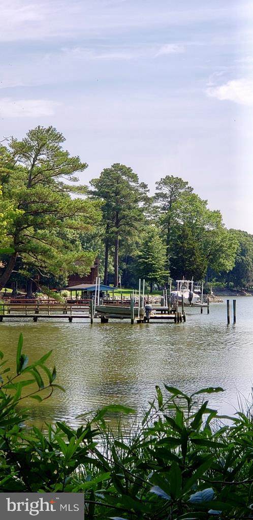 0 Mallard Drive - Photo 1