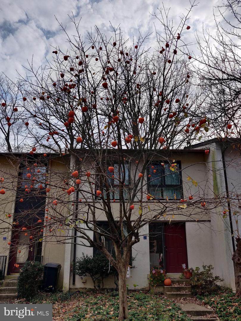 11885 Barrel Cooper Court - Photo 1