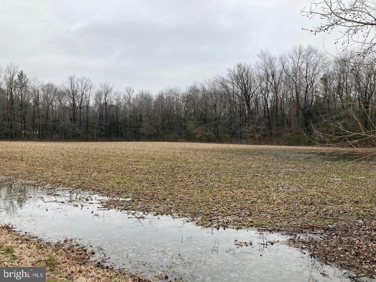 Oak Grove Road - Photo 1