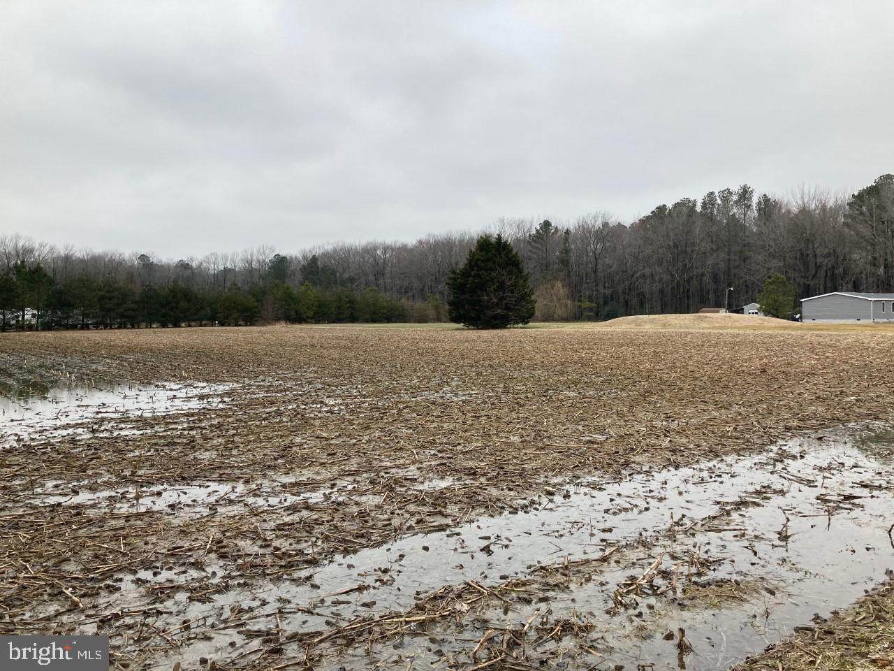 Oak Grove Road - Photo 1