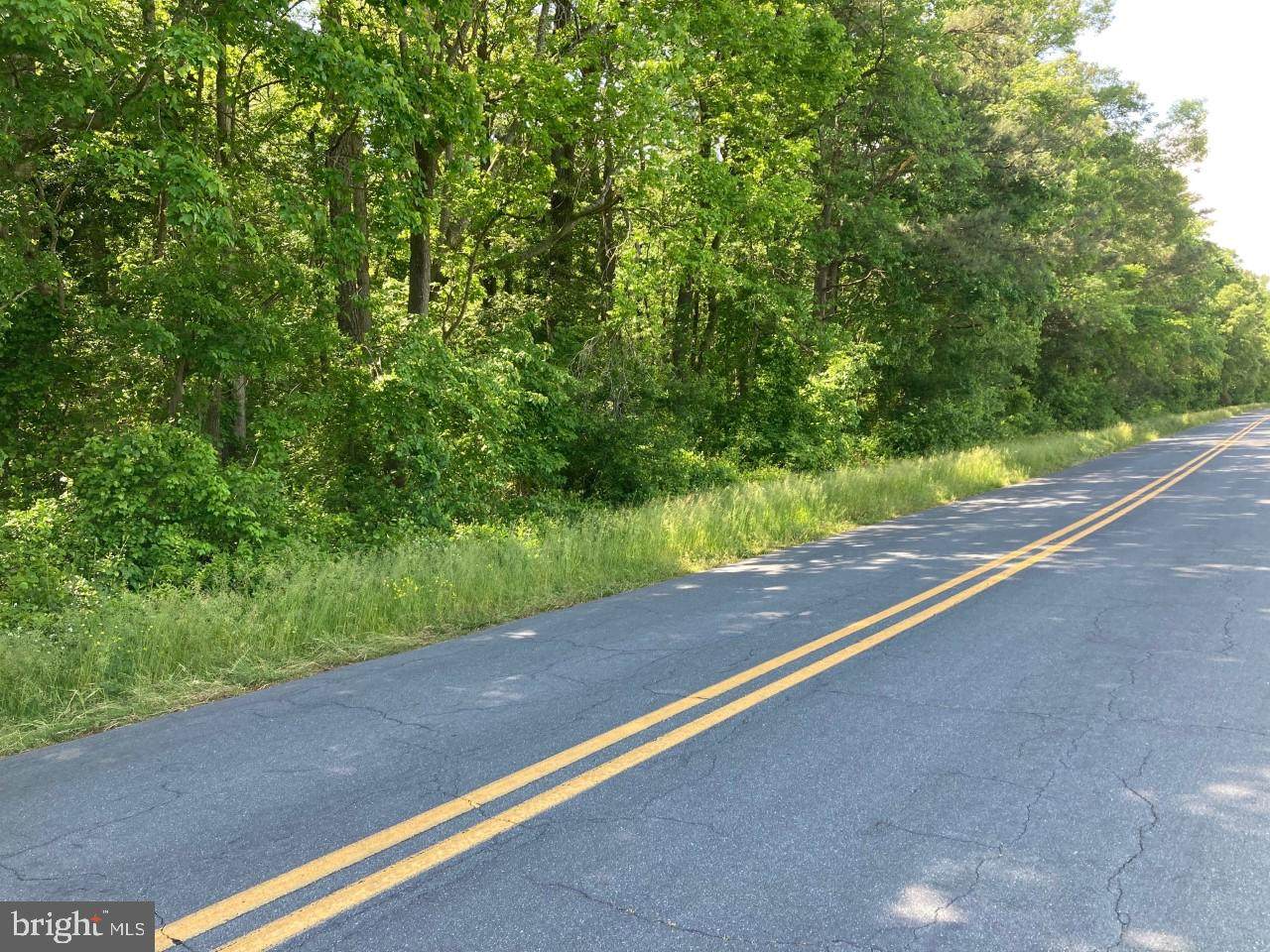 Oak Grove Road - Photo 1