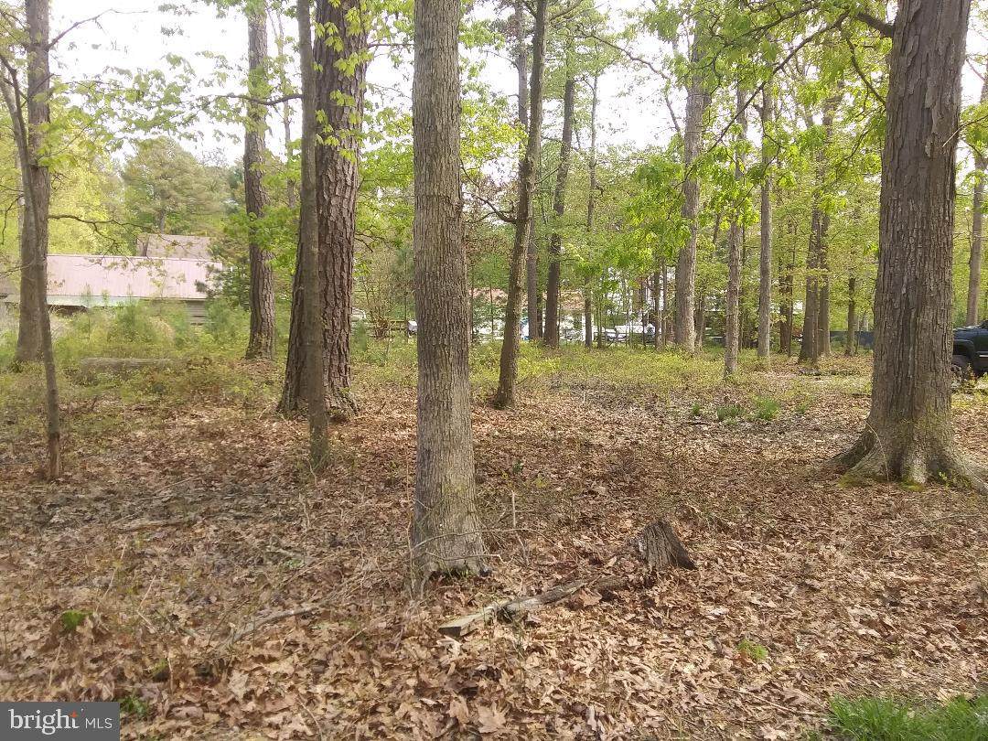 Covey Road - Photo 1