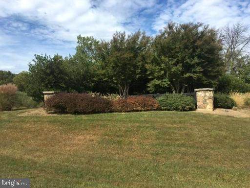 21650 Clear Creek Lane - Photo 1