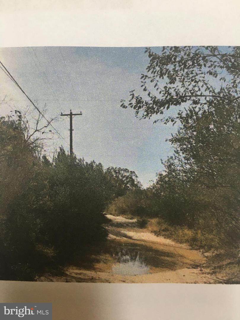 0 Cains Mill Road - Photo 1