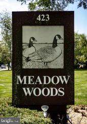 423 Meadow Woods Lane - Photo 1