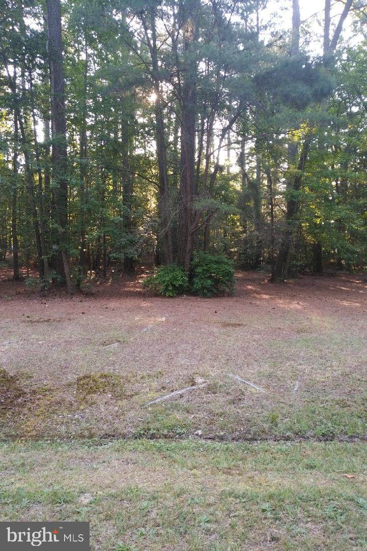 Lot 215 Weatherall Drive - Photo 1