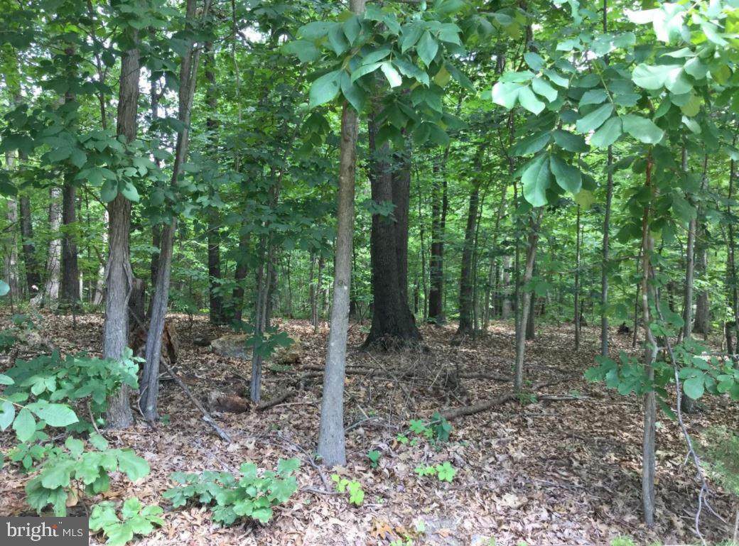 0 Blue Bell Lane - Photo 1