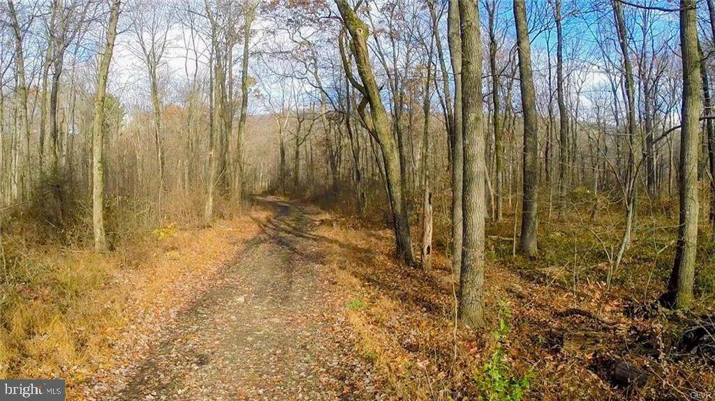 9100 Loop Road - Photo 1