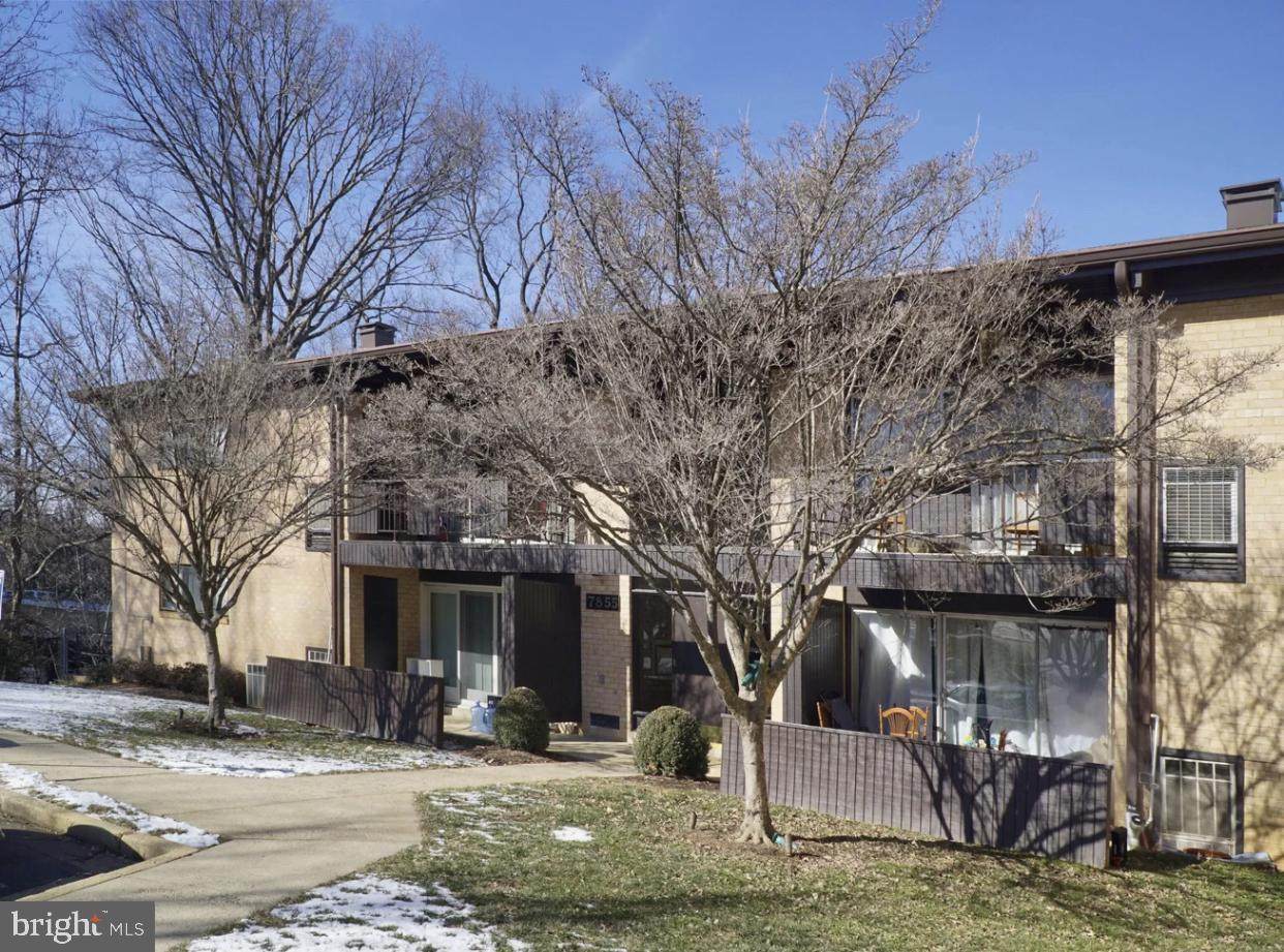 7855 Enola Street - Photo 1