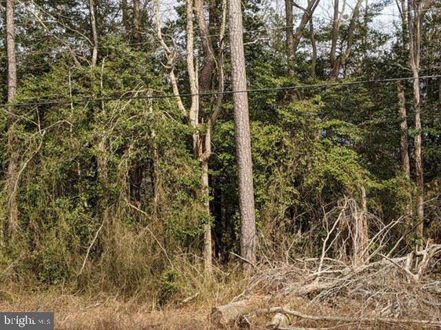 Peppers Corner Rd - Photo 1
