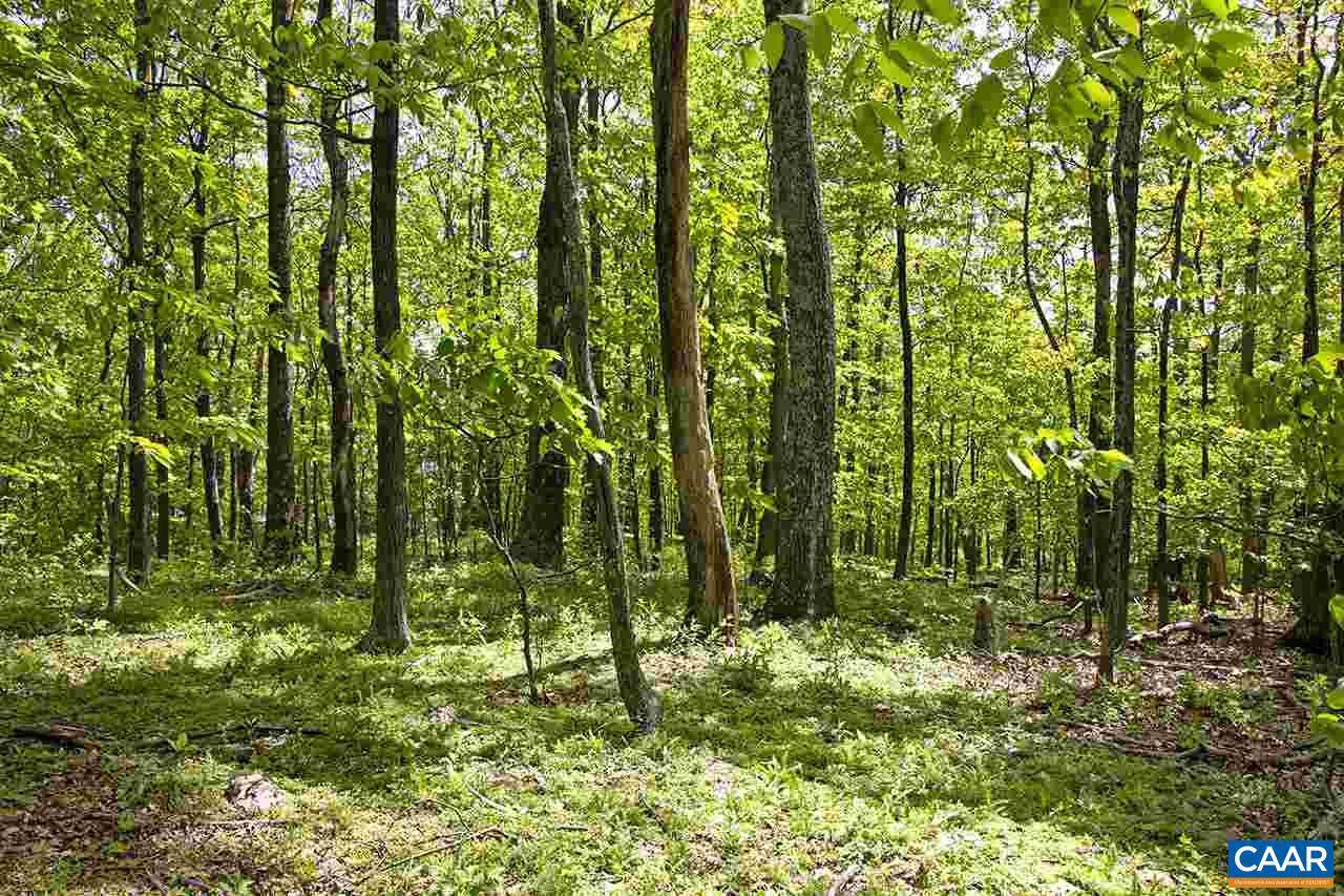 23 Grassy Overlook - Photo 1