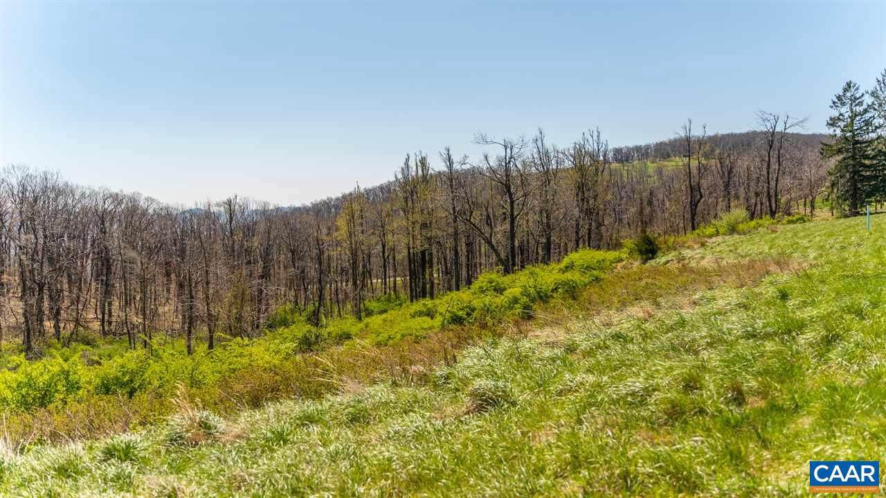 Lot 16 Howardsville Tpke Turnpike - Photo 1