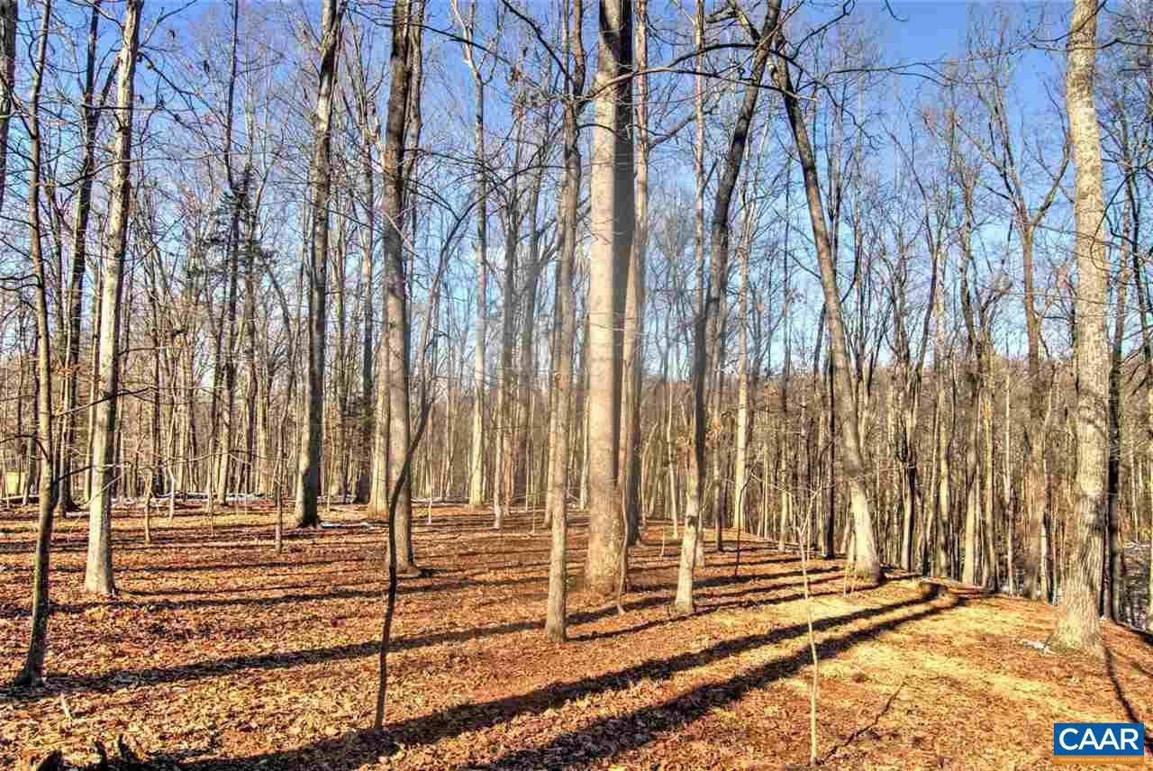 TBD Woodcreek Dr Drive - Photo 1
