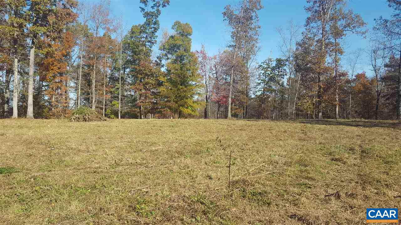 Ruritan Lake Road - Photo 1