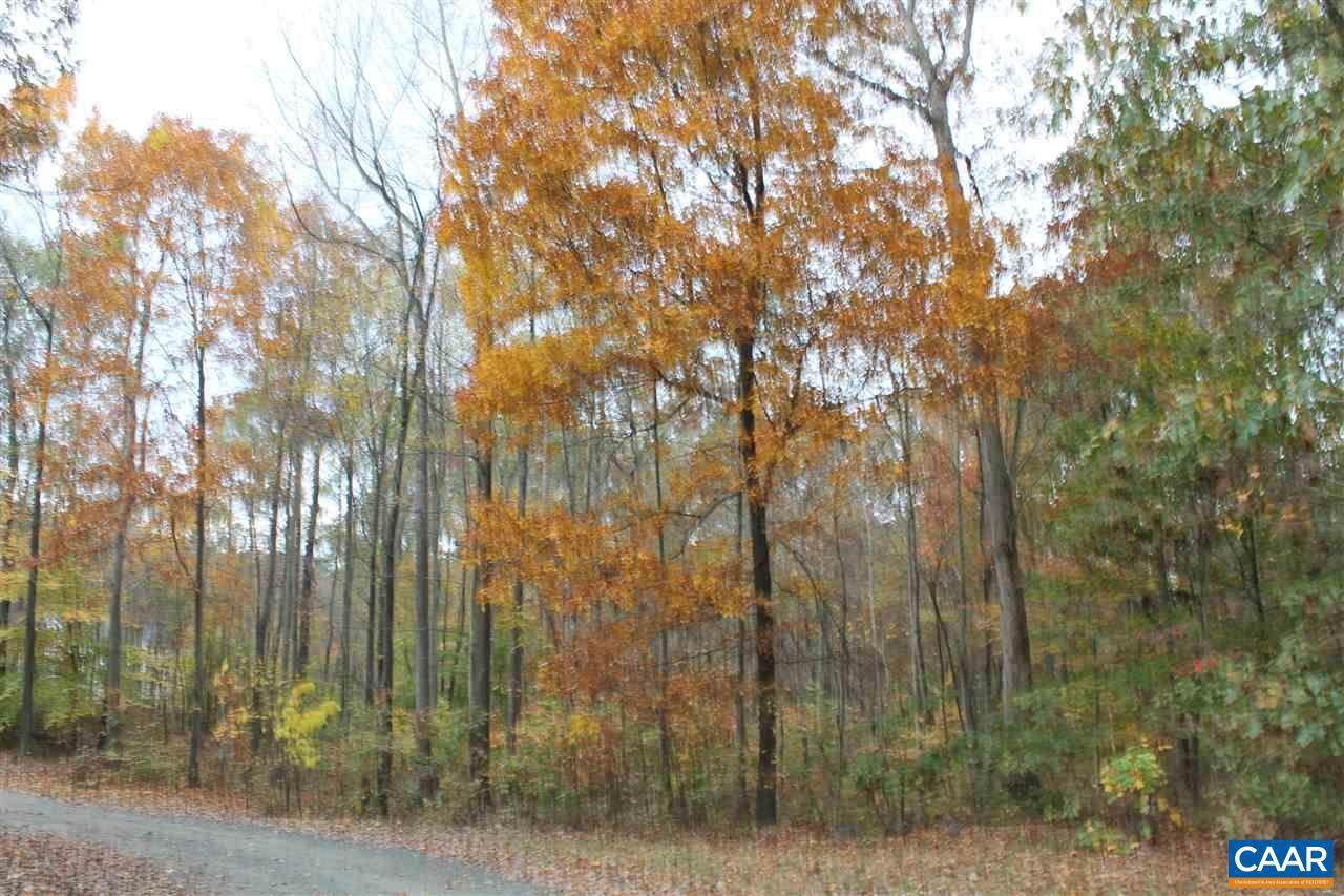 Lot 9 Carly Ln Lane - Photo 1