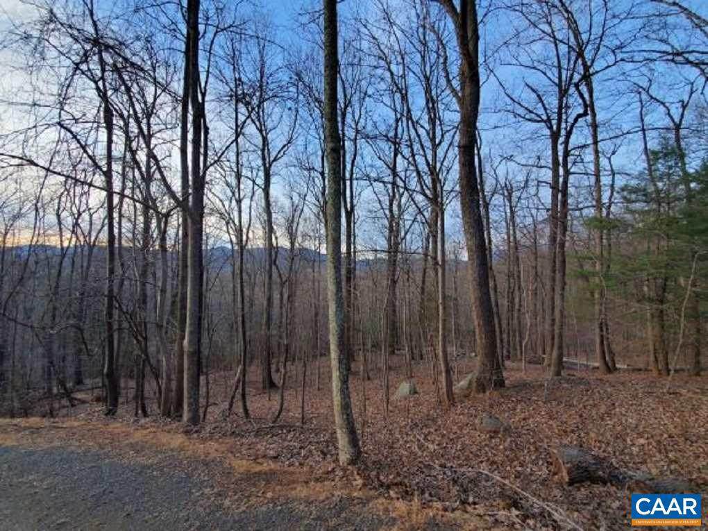 141 Hearthstone Ln Lane - Photo 1